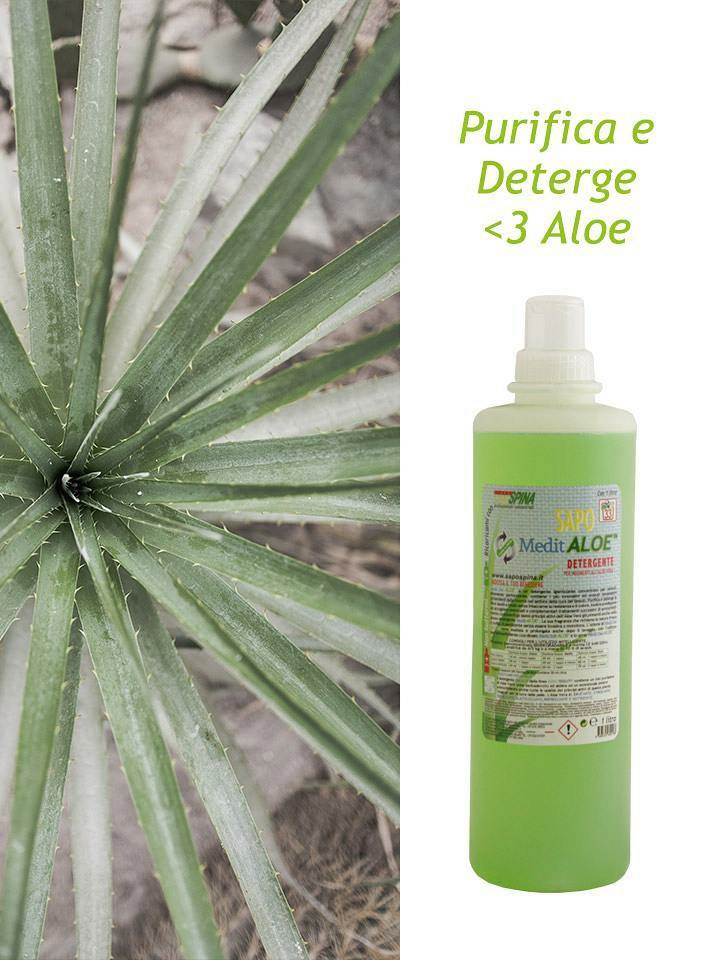Lavaggio e Stiro DetAloe detergente Bolledisapone